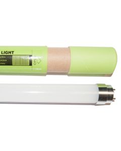 HIVE LED Tube Light 10W  600mm - T8